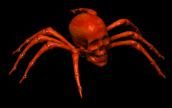 spider cool pictures