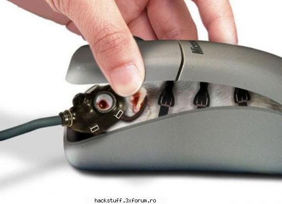 mouse work! funny pics from all over the world...